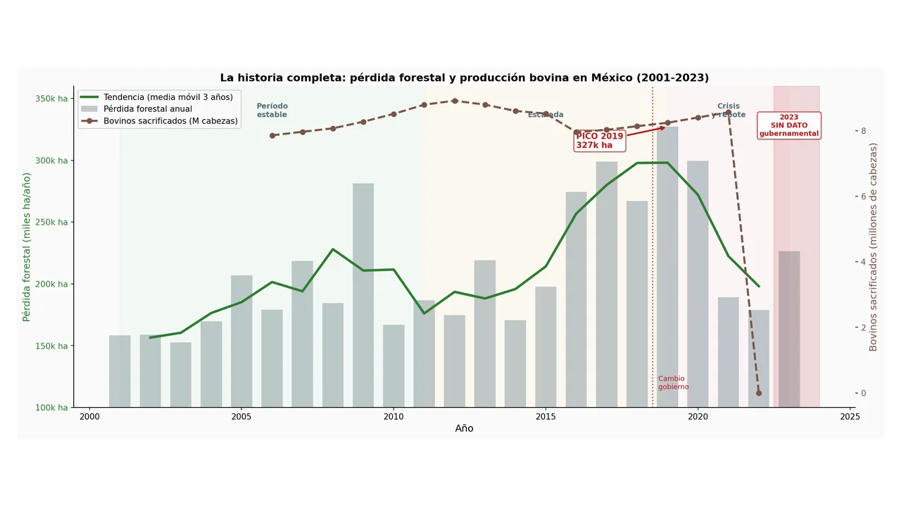 Preview de Deforestación en México 2001-2023